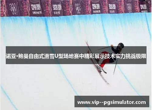 诺亚·鲍曼自由式滑雪U型场地赛中精彩展示技术实力挑战极限