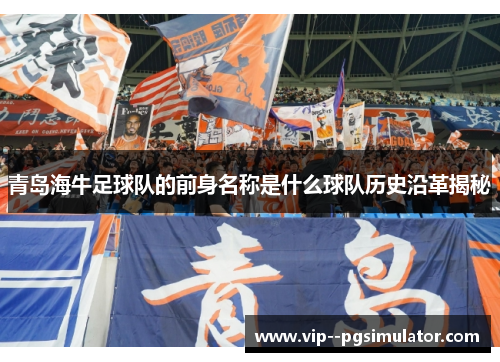 青岛海牛足球队的前身名称是什么球队历史沿革揭秘