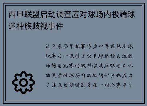 西甲联盟启动调查应对球场内极端球迷种族歧视事件