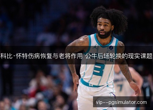 科比·怀特伤病恢复与老将作用 公牛后场轮换的现实课题